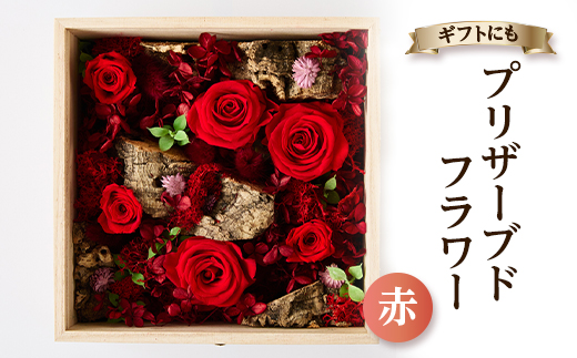 プリザーブドフラワー赤【1662936】