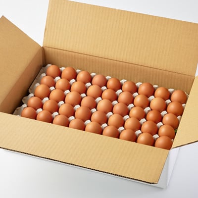 大分生まれのAW飼い有精卵「豊の米卵」10kg(赤卵)【配送不可地域：離島】【1714037】