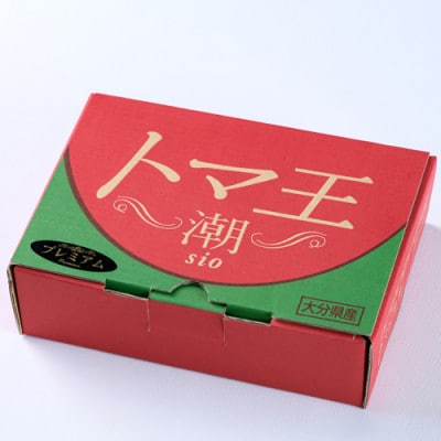 2026年1月下旬から順次発送【糖度10度以上】高糖度トマト 「トマ王 潮プレミアム」約9玉〜【配送不可地域：離島】【1087104】