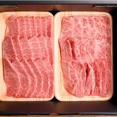 おおいた和牛 焼肉にピッタリ!牛肉の食べ比べセットA(上カルビ＆上ロース)(合計600g)3〜4人前【配送不可地域：離島】【1089358】