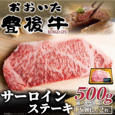 【毎月定期便】おおいた豊後牛サーロインステーキセット 500g(250g×2枚)(日出町)全3回【配送不可地域：離島】【4074135】