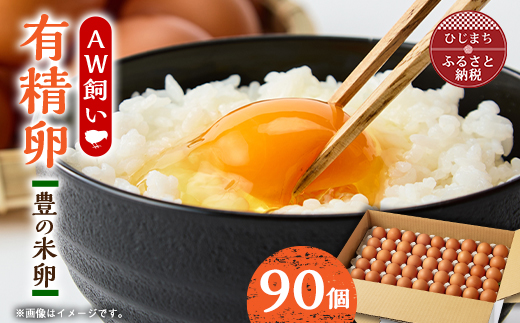 大分生まれのAW飼い有精卵「豊の米卵」90個入り【配送不可地域：離島】【1610935】