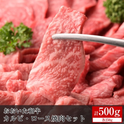 おおいた和牛カルビ・ロース焼肉セット【合計500g】【配送不可地域：離島】【1395594】