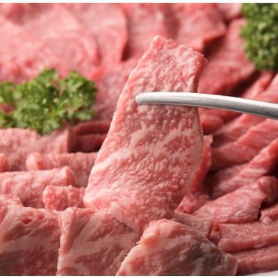縲先ッ取怦螳壽悄萓ソ縲代♀縺翫>縺溘ヶ繝ゥ繝ウ繝芽i螳壽悄萓ソ(縺、縺代ム繝ャ縲√せ繝繝シ繧ュ繧ス繝シ繧ケ莉倥″)蜈ィ6蝗槭宣埼∽ク榊庄蝨ー蝓滂シ夐屬蟲カ縲代4071446縲