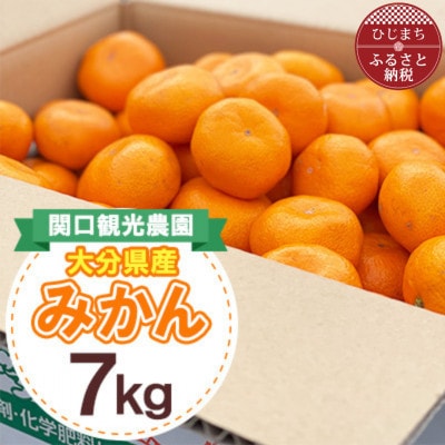 温州みかん約7キロ【1727488】