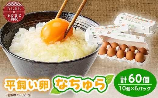 平飼い卵なちゅら(60ヶ入り)【配送不可地域：離島】【1585337】
