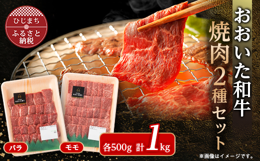 おおいた和牛焼肉セット(バラ500g/モモ500g)【配送不可地域：離島】【1627702】