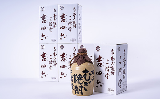 大分むぎ焼酎　二階堂吉四六つぼ25度(720ml)6本セット【1550331】