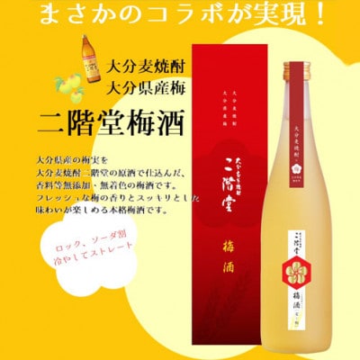 【数量限定】二階堂 梅酒 (化粧箱入り) AG42【1291923】