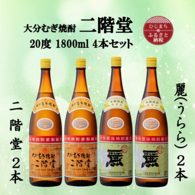 大分むぎ焼酎　二階堂2本と麗(うらら)2本20度(1800ml)4本セット【1494839】