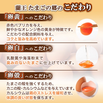 蘭王たまご　10個入り2パック　ギフト箱でお届け【1519751】