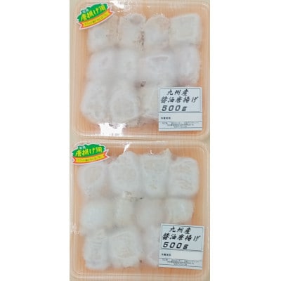 お弁当やおかずで人気の一品 【大分名物】若鶏の唐揚げ(塩・醤油)合計2kg【配送不可地域：離島】【1104201】