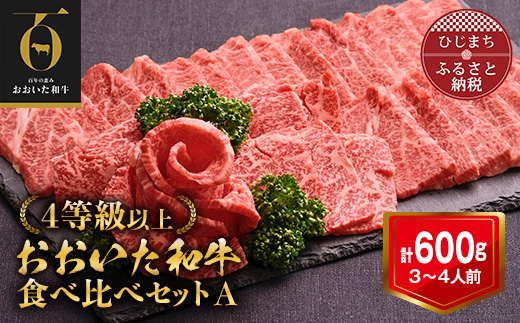 おおいた和牛 焼肉にピッタリ!牛肉の食べ比べセットA(上カルビ&上ロース)(合計600g)3〜4人前【配送不可地域：離島】【1089358】