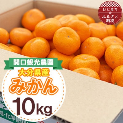 温州みかん約10キロ【1727487】