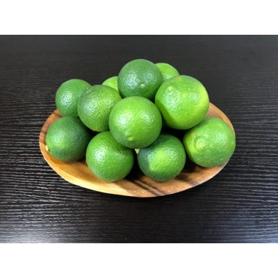 かぼす　1.8kg(日出町)【1753860】