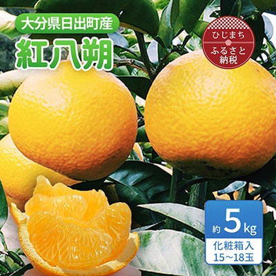 【2025年3月発送】紅八朔　約5kg(化粧箱入り)【1106338】