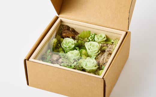 プリザーブドフラワー緑【1624482】