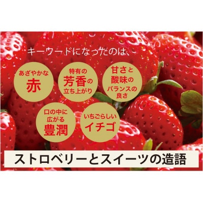 大分県産ベリーツ(270g×2パック)(日出町)【配送不可地域：離島・沖縄県】【1708986】
