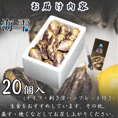 縺イ縺ィ縺上■ 逵溽横陟」 縲豬キ髮ォ縲(20蛟句・繧)縲宣埼∽ク榊庄蝨ー蝓滂シ夐屬蟲カ縲代1699167縲