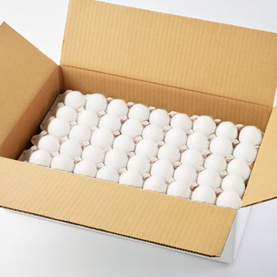 大分生まれのAW飼い有精卵「豊の米卵」10kg(白卵)【配送不可地域：離島】【1714035】