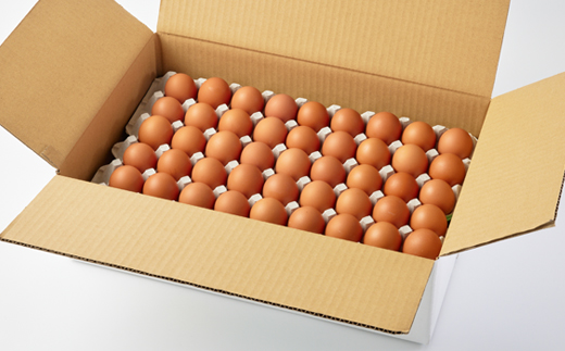 大分生まれのAW飼い有精卵「豊の米卵」90個入り【配送不可地域：離島】【1610935】