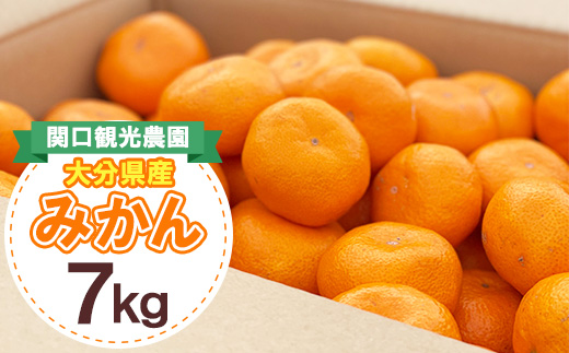 温州みかん約7キロ【1727488】