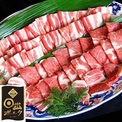 【日出ポーク】焼肉セット 豚バラ(500g)＆肩ロース(500g)【配送不可地域：離島】【1078235】