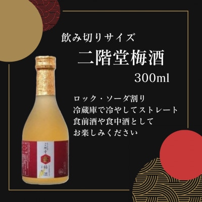 【数量限定♪】大分むぎ焼酎　二階堂梅酒(300ml)12本セット【1683542】