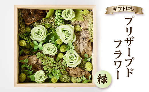 プリザーブドフラワー緑【1624482】
