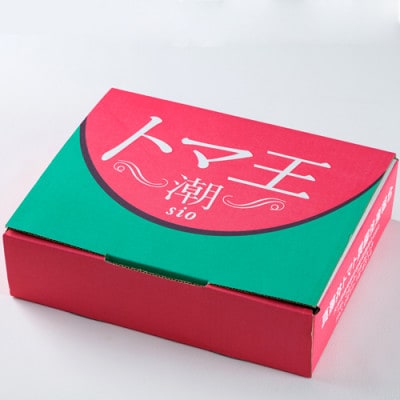 2026年1月中旬から順次発送【糖度8度以上】あま〜いトマト「トマ王 潮」約2kg【配送不可地域：離島】【1087106】