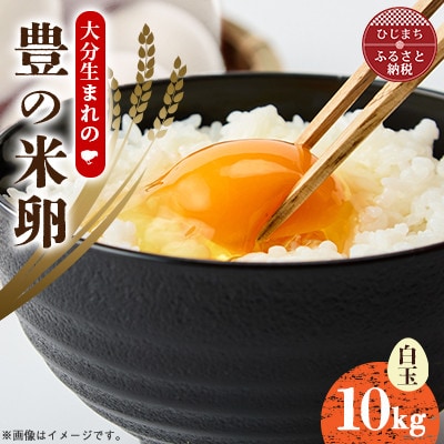 大分生まれのAW飼い有精卵「豊の米卵」10kg(白卵)【配送不可地域：離島】【1714035】