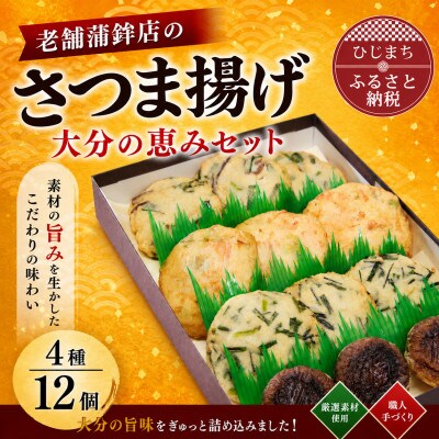 さつま揚げ(天ぷら) 大分の恵みセット 4種/12個入り【配送不可地域：離島】【1258344】