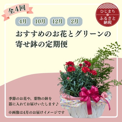 【発送月固定定期便】育てる楽しさも味わえる♪花精おすすめのお花とグリーンの寄せ鉢全4回【4088350】