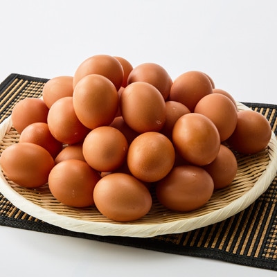 大分生まれのAW飼い有精卵「豊の米卵」10kg(赤卵)【配送不可地域：離島】【1714037】