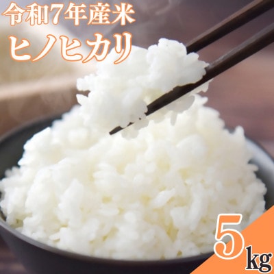 ã什å7幎ç£ç±³ããããã«ãªã5kgã1735844ã