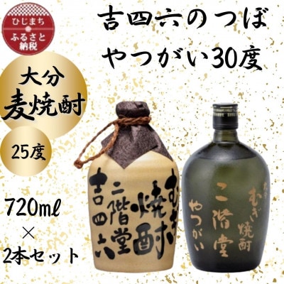 大分むぎ焼酎　二階堂吉四六つぼ25度とやつがい30度(720ml)2本セット【1455221】