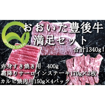 おおいた豊後牛 満足セット(カルビ焼肉・赤身すき焼き・サーロインステーキ)【配送不可地域：離島】【1395462】