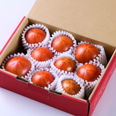 2026年1月下旬から順次発送【糖度10度以上】高糖度トマト 「トマ王 潮プレミアム」約9玉〜【配送不可地域：離島】【1087104】