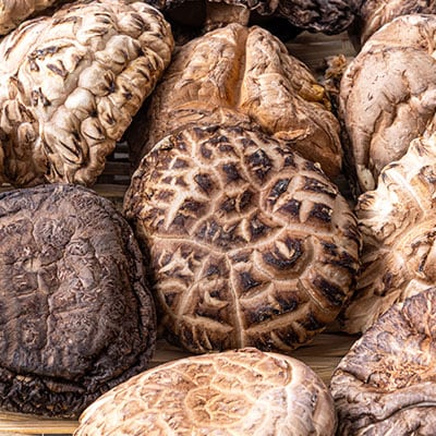 大分県産乾椎茸　上どんこ(120g)【1115934】