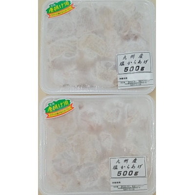 お弁当やおかずで人気の一品 【大分名物】若鶏の唐揚げ(塩・醤油)合計2kg【配送不可地域：離島】【1104201】