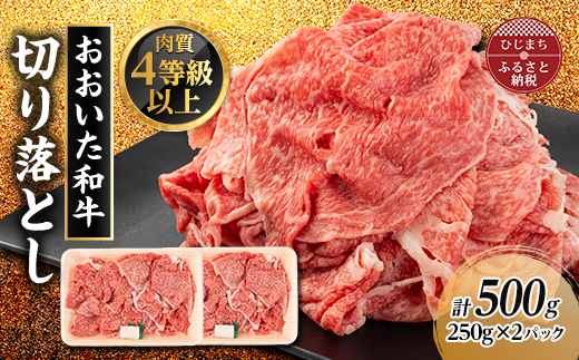 おおいた和牛　切り落とし(500g)【配送不可地域：離島】【1104199】