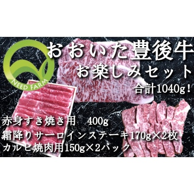 おおいた豊後牛 お楽しみセット(カルビ焼肉・赤身すき焼き・サーロインステーキ)【配送不可地域：離島】【1395461】