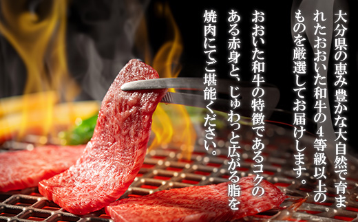 おおいた和牛 焼肉用 300g(日出町)【配送不可地域：離島】【1700646】