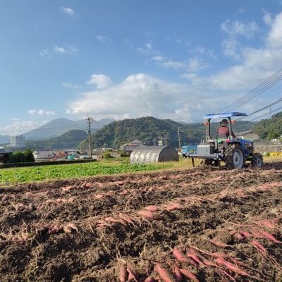 大分県日出町産・干し芋食べ比べセット「平干しタイプ100g×2袋」と「ひとくちタイプ90g×2袋」【1729063】