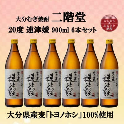 大分むぎ焼酎　二階堂速津媛20度(900ml)6本セット【1494423】