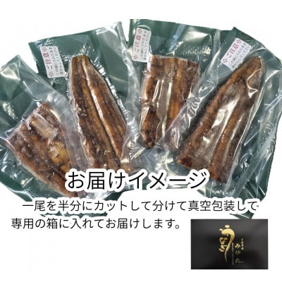 蝗ス逕」縺縺ェ縺手調辟シ2蟆セ(譌・蜃コ逕コ)縲宣埼∽ク榊庄蝨ー蝓滂シ夐屬蟲カ縲代1696254縲