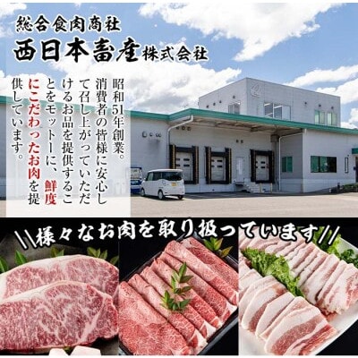 縺翫♀縺縺溷柱迚 繝偵Ξ蝪 1譛ャ (邏4kg)縲宣埼∽ク榊庄蝨ー蝓滂シ夐屬蟲カ縲代1700662縲