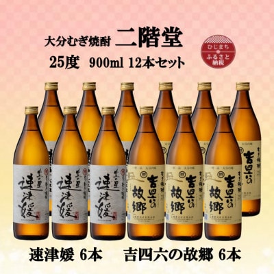 大分むぎ焼酎　二階堂速津媛6本と吉四六の故郷6本25度(900ml)12本セット【1494351】