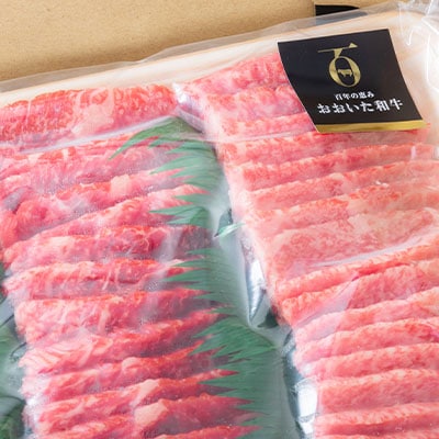 おおいた和牛 焼肉にピッタリ!牛肉の3種盛(カルビ・ロース・赤身)(合計750g)【配送不可地域：離島】【1089360】