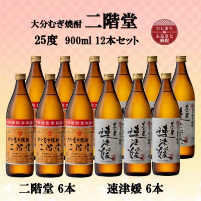 大分むぎ焼酎　二階堂6本と速津媛6本25度(900ml)12本セット【1494110】